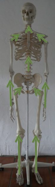 Unterstützung - Kopie